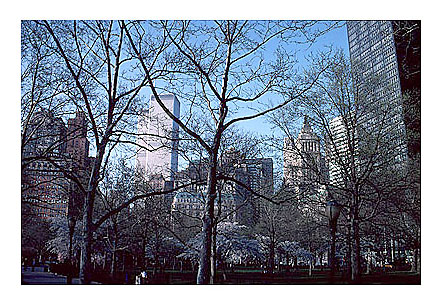 [View of Twin Towers from Battery Park in the Spring -wtc060124.jpg - 96122 Bytes]